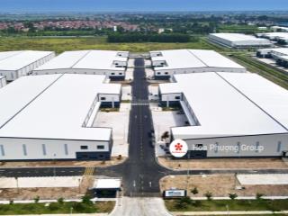 Công ty hoa phượng cho thuê kho, xưởng kcn vsip, phúc điền, tân trường, đại an, quang minh