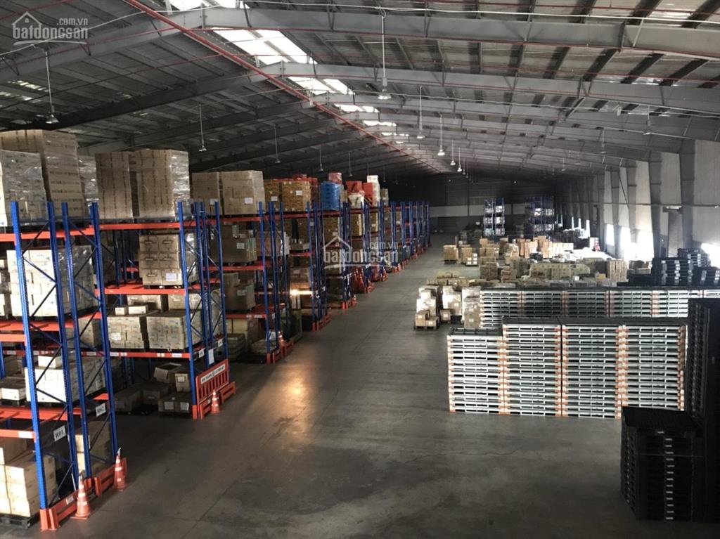 Cty hoa phượng cho thuê kho, xưởng kcn vsip 2, có kho tự quản và kho dịch vụ (1000m2)
