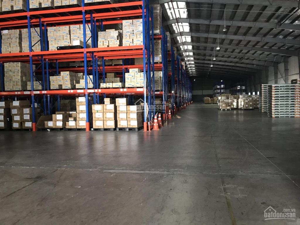 Ct hoa phượng cho thuê kho, xưởng kcn vsip 1, thuận an có kho tự quản và dv (100m2)