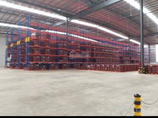 Ct hoa phượng cho thuê kho, xưởng kcn vsip 1, thuận an có kho tự quản và dv (100 đến 20.000m2)