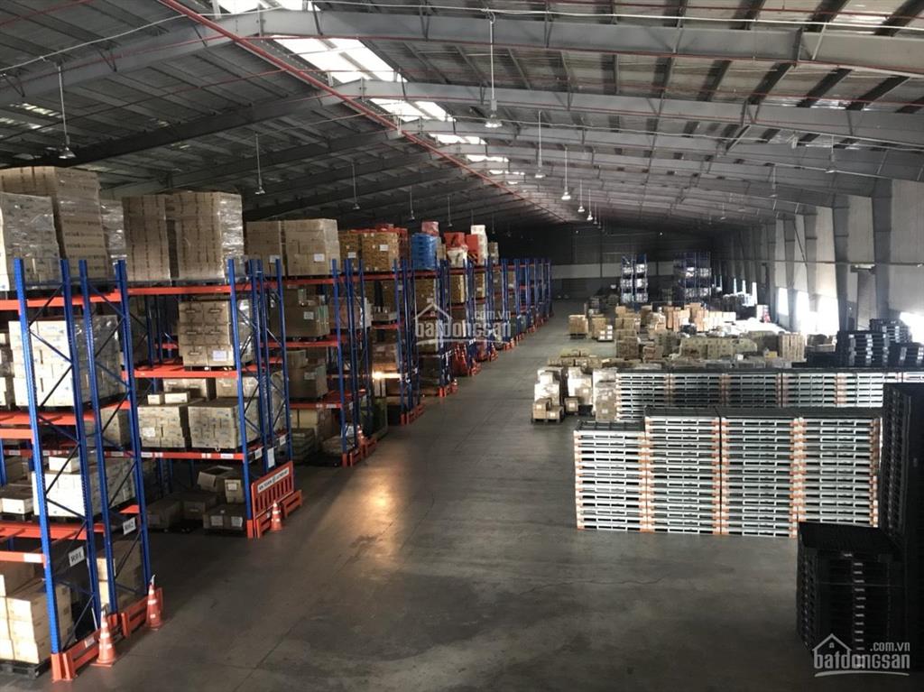 Ct hoa phượng cho thuê kho, xưởng kcn vsip 1, thuận an có kho tự quản và dv (100m2)
