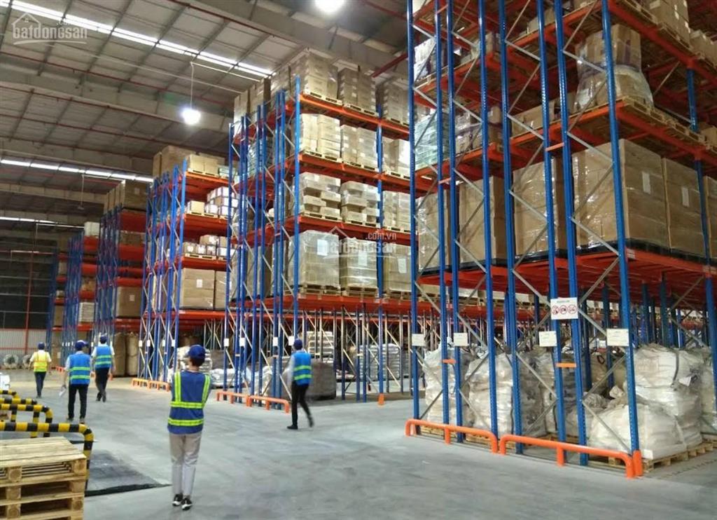 Ct hoa phượng cho thuê kho, xưởng kcn hiệp phước, có kho tự quản và kho dv (550m2 đến 15.000m2)