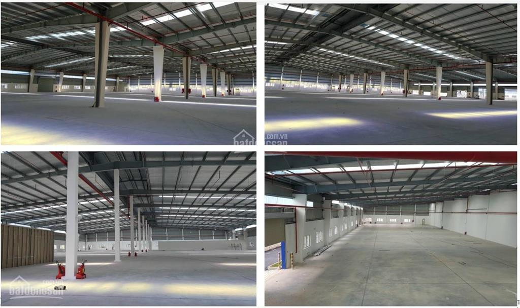 Ct hoa phượng cho thuê kho, xưởng kcn hiệp phước, có kho tự quản và kho dv (550m2 đến 15.000m2)