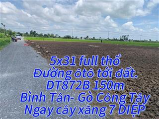 5x31 full thổ 390tr. dt872b, bình tân, gò công tây, tiền giang.