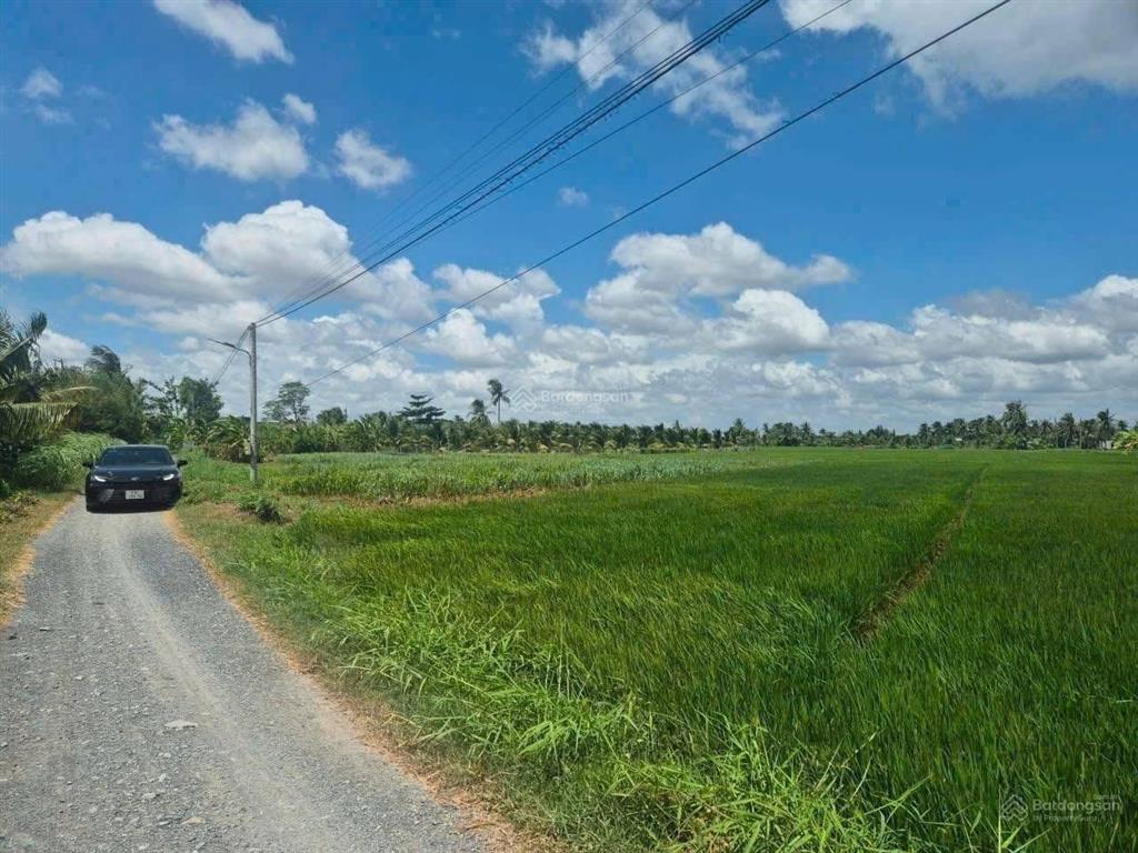 670m2.đất lúa. 350 triệu.đường oto