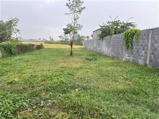 5x39m có 100m2 thổ  520tr  đồng thạnh  gò công tây  tiền giang