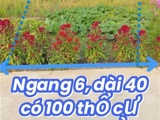 390 triệu, 240 m2 ,ngang 6 dài 40m tại đồng thạnh, gò công tây, tiền giang