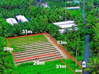 1000m2 đất lúa mặt tiền đường nhựa, bình ninh, chợ gạo, tg