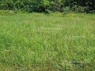Đất đầu tư bến lức, long an chỉ 6tỷ cho 1600m2  sổ riêng  mr. hoàng 0988 115 ***