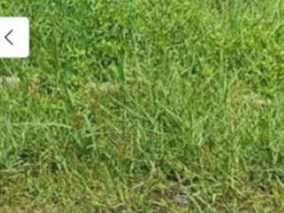 Đất đầu tư đức hòa, long an chỉ 5 tỷ cho 450m2  sổ riêng  mr. hoàng 0988 115 ***