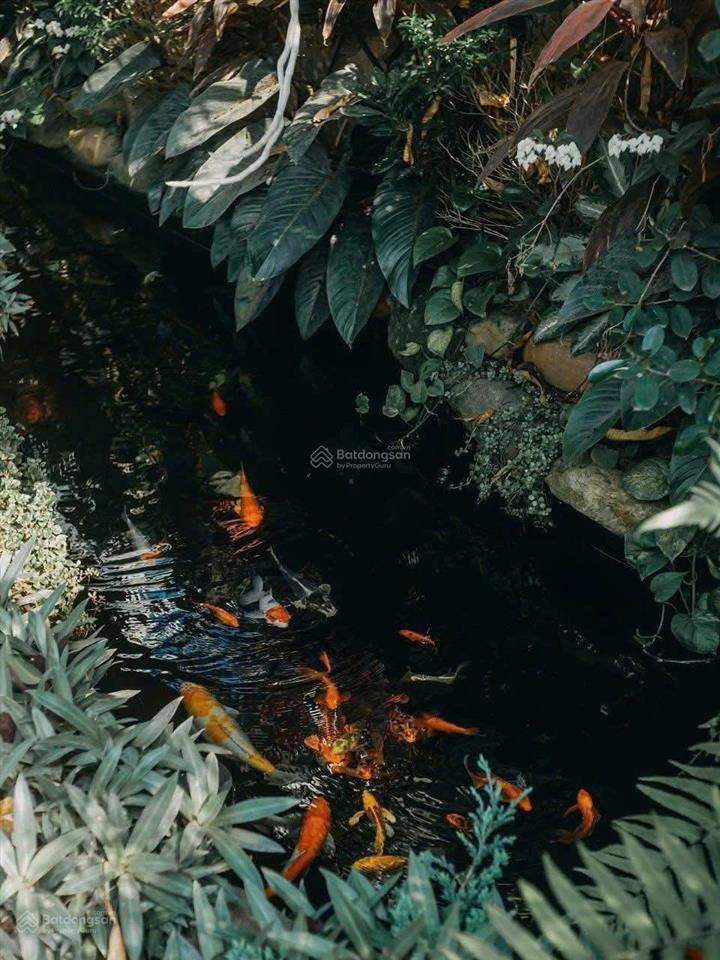 Bán căn nhà mới đẹp ngay đường cao thắng dt4.7x15 trệt lững 2 lầu st nhà mới 100% giá bán 23.8 tỷ