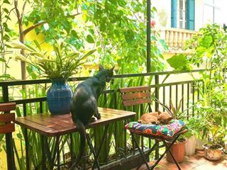Penthouse biệt thự gần hồ trúc bạch  3 thoáng  balcon vintage. tầng 3, sử dụng 130m2, 4 phòng đẹp