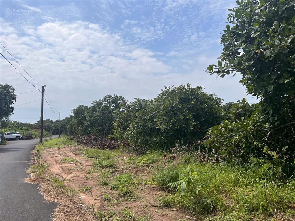 Đất nền đẹp tại xã hòa hội, xuyên mộc, bà rịa vũng tàu, 1,7 tỷ, 1074,4 m2