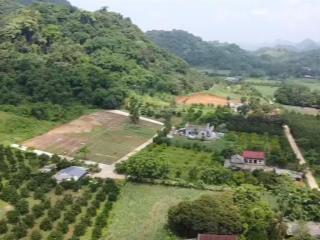 Sẵn sổ từng giá chỉ 2xx triệu cho 1 mảnh đất tại xã lạc lương, yên thuỷ, hoà bình