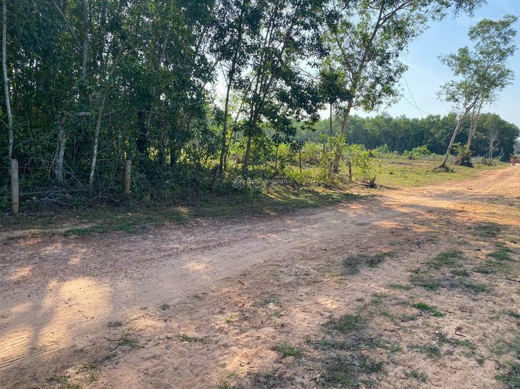 Bán nhanh mảnh đất 5207.6m2, đất đồi cao ráo, view suối, giá cực tốt 7 tỷ cả mảnh