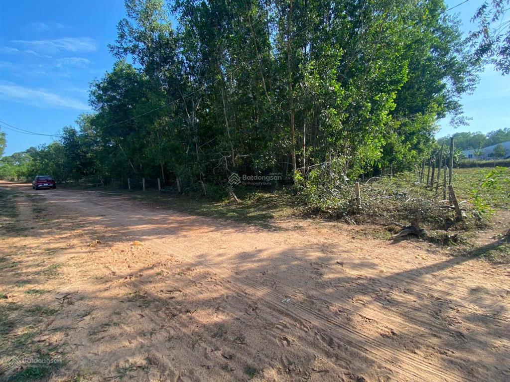 Bán nhanh mảnh đất 5207.6m2, đất đồi cao ráo, view suối, giá cực tốt 7 tỷ cả mảnh