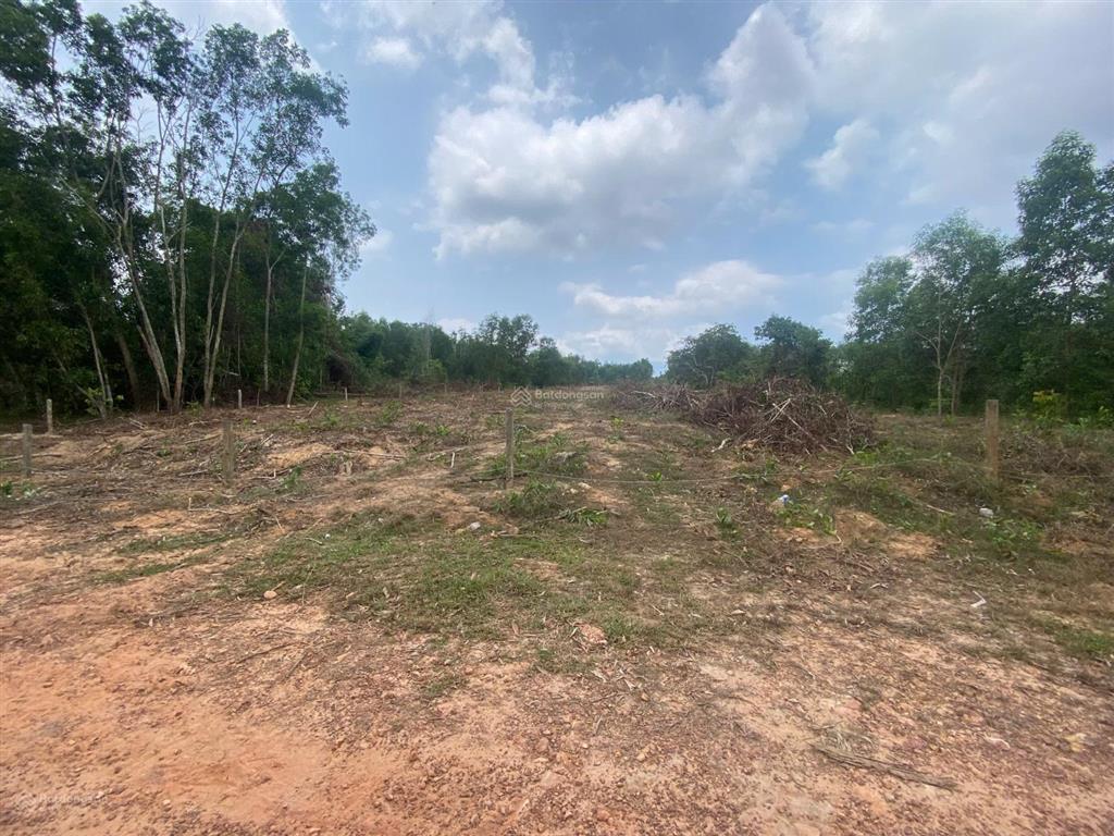 Bán nhanh mảnh đất 5207.6m2, đất đồi cao ráo, view suối, giá cực tốt 7 tỷ cả mảnh