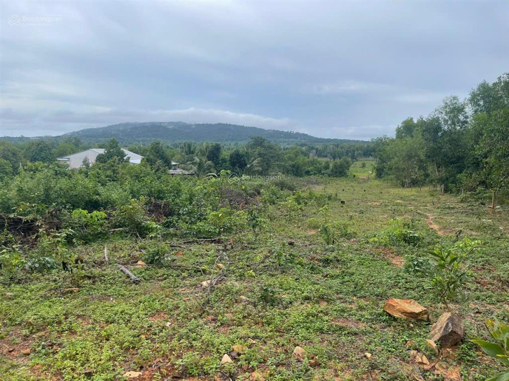 Bán nhanh mảnh đất 5207.6m2, đất đồi cao ráo, view suối, giá cực tốt 7 tỷ cả mảnh