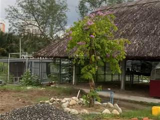 Bán 3128m đất , hẻm 366 phạm hữu lầu nhà bè. đã sang lắp làm nhà vườn hoàn thiện , có bến đậu cano