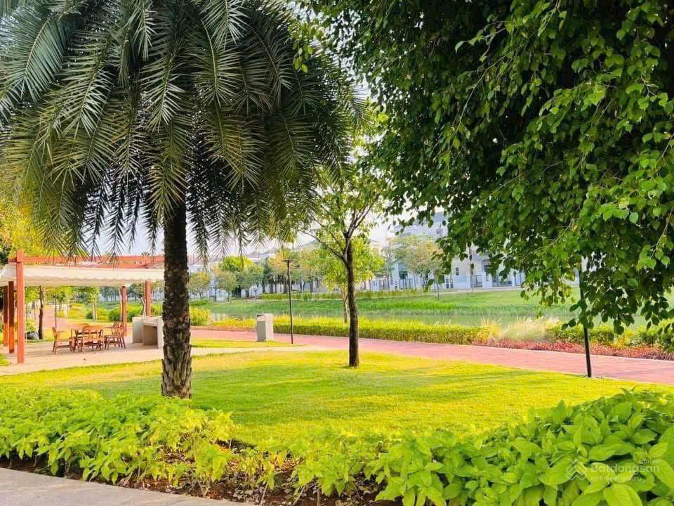 Tổng hợp giỏ hàng chuyển nhượng aqua city giá tốt nhất thị trường 2026