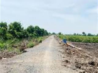 Chính chủ bán nhanh đất vườn bến lức siêu đẹp  sổ hồng riêng công chứng ngayqui hoạch full thổ cư