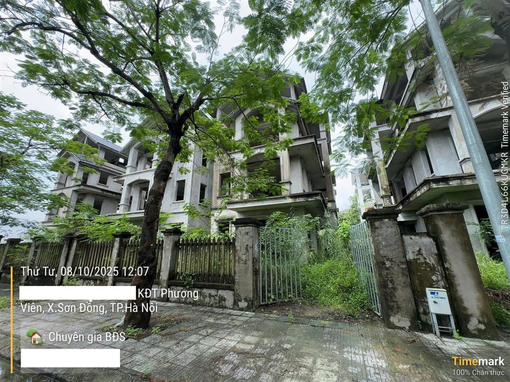 Bán gấp biệt thự xây thô phương viên splendora bắc an khánh, 278m2, sổ đỏ, giá đầu tư