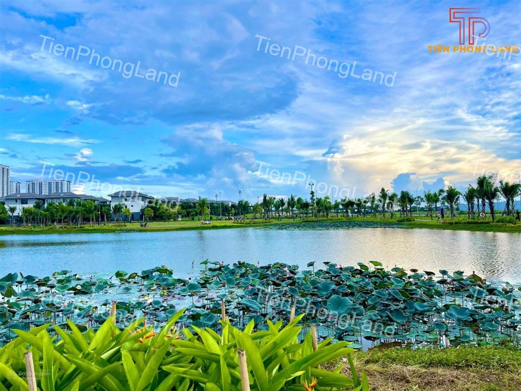 Tháng 12/2025! quỹ căn biệt thự, liền kề vị trí đẹp, chủ nhà thiện chí bán, giá tốt nhất thị trường