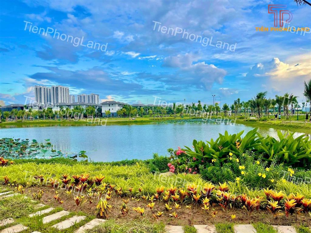 Tháng 12/2025! quỹ căn biệt thự, liền kề vị trí đẹp, chủ nhà thiện chí bán, giá tốt nhất thị trường