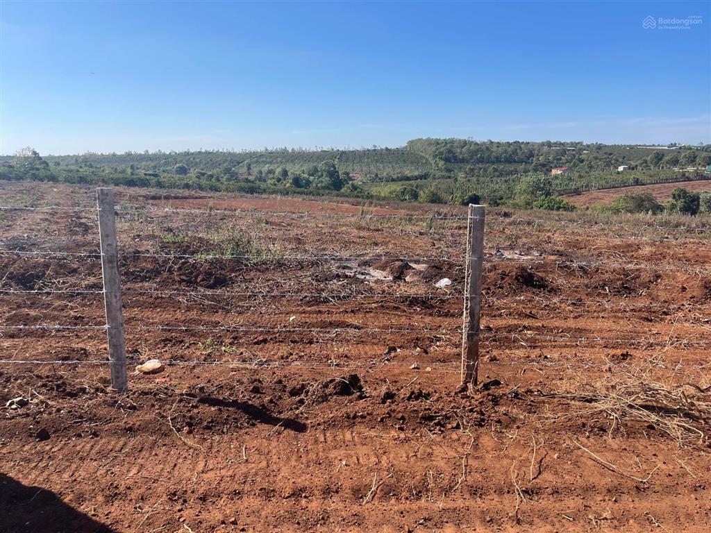 Cần bán lô đất rộng 15.437m2 tại xã biển hồ, mặt tiền rộng 120m.  0866 797 ***