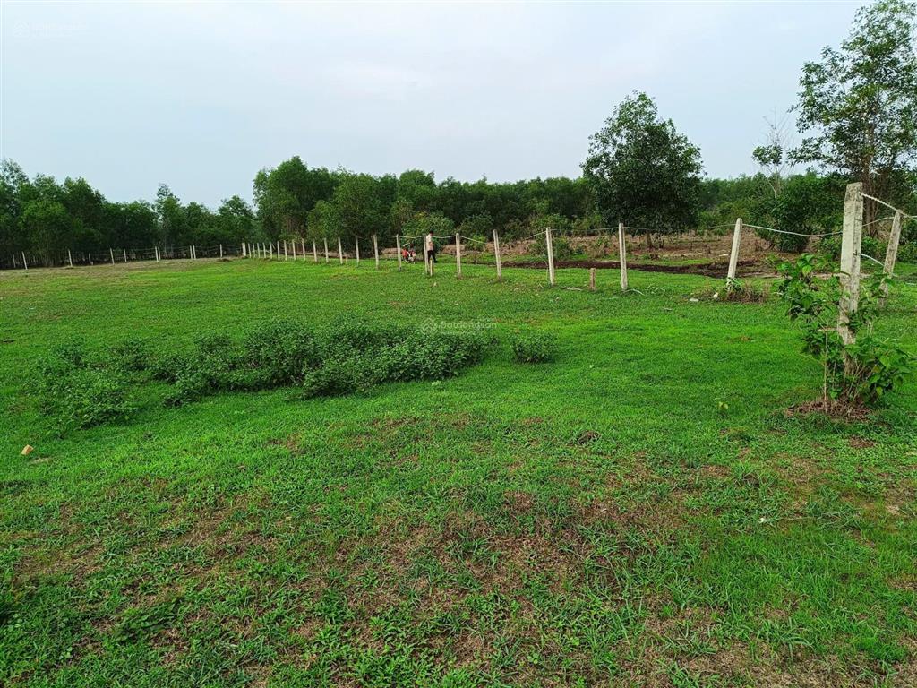 Chính chủ cần bán gấp lô đất 2mt, xã bình châu, dt 2132m2.  0866 797 ***