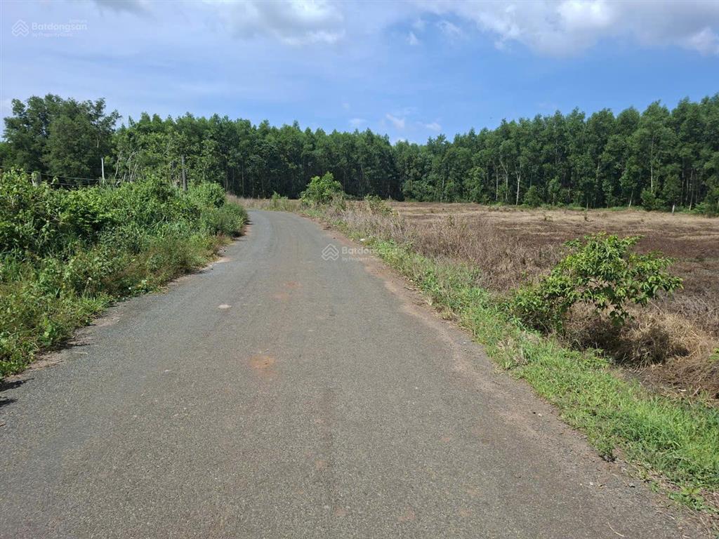 Cần bán đất xã xuyên mộc, brvt. 1980m2, 80m2 thổ cư,  0866 797 ***