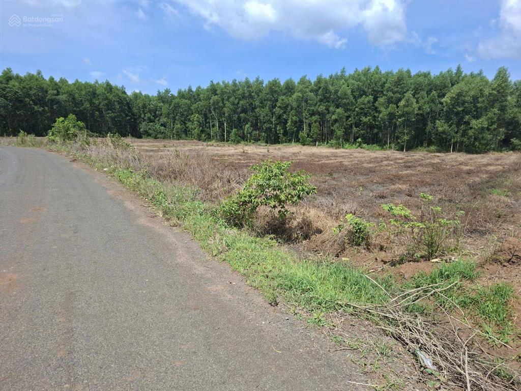 Cần bán đất xã xuyên mộc, brvt. 1980m2, 80m2 thổ cư,  0866 797 ***