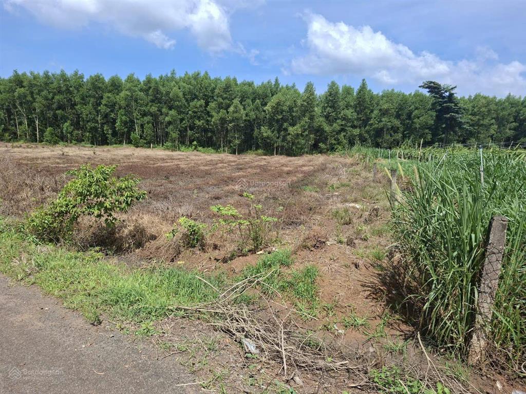 Cần bán đất xã xuyên mộc, brvt. 1980m2, 80m2 thổ cư,  0866 797 ***