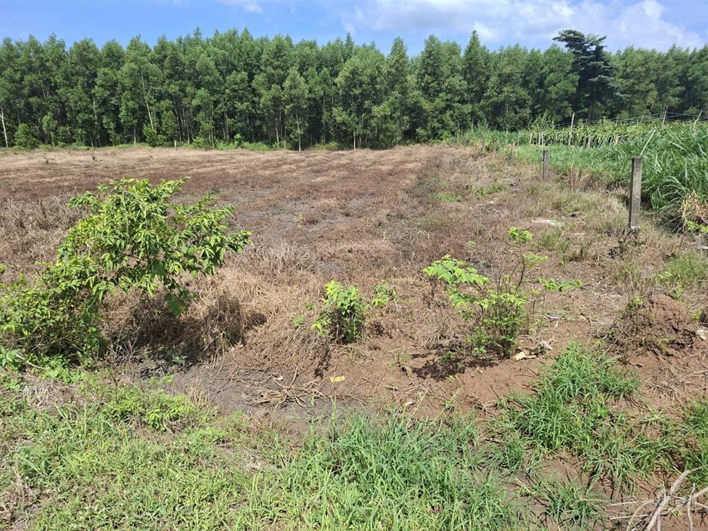 Cần bán đất xã xuyên mộc, brvt. 1980m2, 80m2 thổ cư,  0866 797 ***