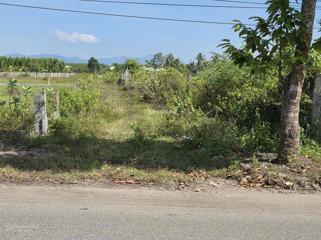 Cần bán 945m đất xã bình châu, tp. hcm. đối diện ressot băng cốc. giá 2,8 tỷ