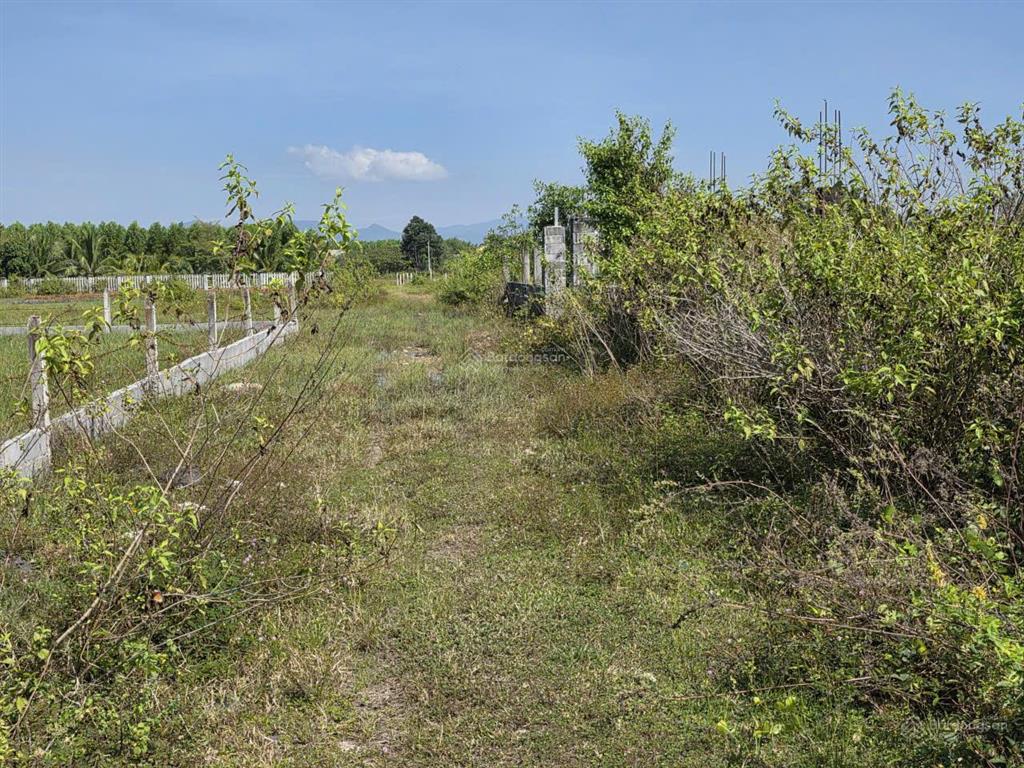 Cần bán 945m đất xã bình châu, tp. hcm. đối diện ressot băng cốc. giá 2,8 tỷ