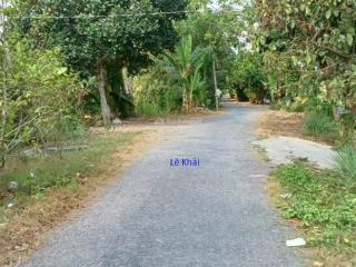 Bán vườn xoài 1.950m²(26m x 80m, đất lúa) đường nhựa 3.5m, tt mỹ thọ
