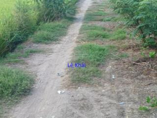 Bán đất lúa 14.000m² (43m x 450m, hậu 27m) đường xe ba gác, xã tân hội trung