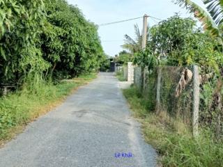 Bán 2.000m² (10m x 200m, thổ 200m², còn lại đất lúa) đường nhựa 3.5m, xã láng biển, h tháp mười