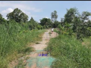 Bán 3.000m² (14m x 214m, đất lúa) đường xe ba gác, xã bình hàng tây, h cao lãnh