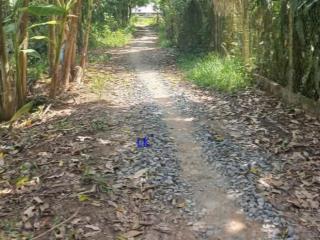 Bán đất lúa 16.500m². mặt tiền 32m đường đá xe ba gác, xã mỹ thọ, h cao lãnh