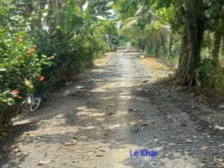 Bán đất lúa 23.000m² (mặt tiền 30m, nở hậu l) đường đá xe ô tô, xã láng biển, h tháp mười