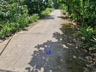 Bán nền 310m² (5.2m x 60m, thổ 100%)  đường đan 3m, xã phương trà cũ,