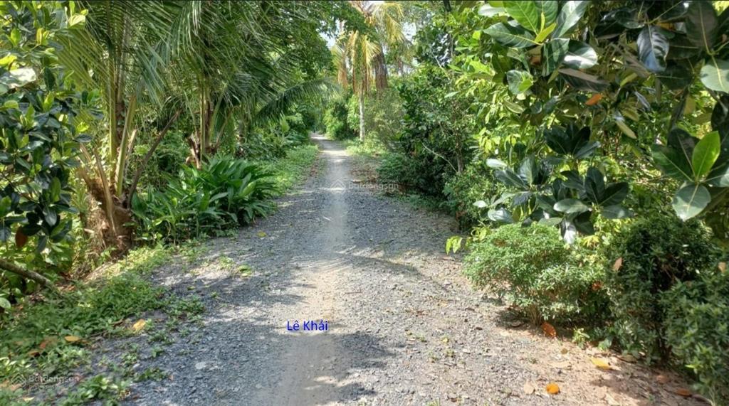 Bán đất lúa 17.000m²(mặt tiền 73m, nở hậu 120m) đường đá xe ba gác, xã láng biển cũ (xã mỹ quý)