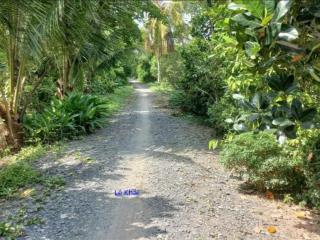 Bán đất lúa 17.000m²(mặt tiền 73m, nở hậu 120m) đường đá xe ba gác, xã láng biển cũ (xã mỹ quý)