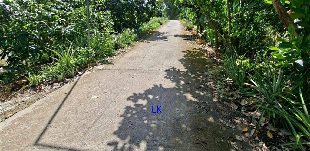 Bán nền 300m² (5m x 60m, thổ 100%) đường đan 3m, xã phương trà cũ,