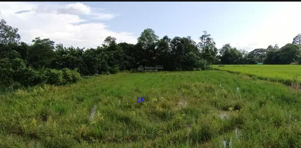 Bán nền 300m² (5m x 60m, thổ 100%) đường đan 3m, xã phương trà cũ,