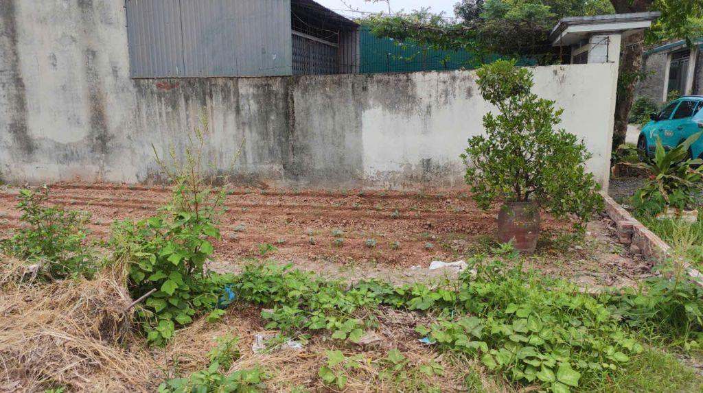 88m2 PHÂN LÔ - Ô TÔ VÀO - KINH DOANH - 2 MẶT TIỀN,NGAY CỔNG TRƯỜNG NGHỀ, YÊN VĨNH, HOÀI ĐỨC, nhỉnh 10 tỷ