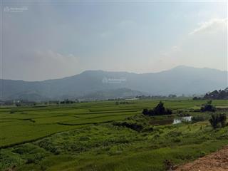 Chính chủ cần bán lô đất 14.500m2 tiến xuân! giá 2,5tr/m2!  0902 298 ***