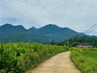 Bán đất tại khánh thượng, ba vì, hà nội, 1,85 tỷ, 1100m2